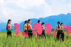 Nghệ thuật Xòe kết nối cộng đồng, thể hiện bản sắc dân tộc Thái