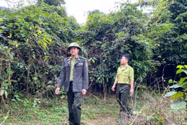 Tết của những người giữ rừng