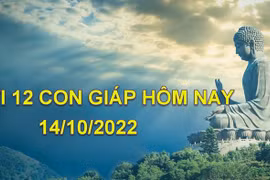 Tử vi hôm nay 14/10/2022, thứ 6 ngày 19/9 âm lịch của 12 con giáp