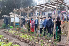 Phát triển bãi giữa, bãi ven sông Hồng thành công viên văn hóa, du lịch của Thủ đô
