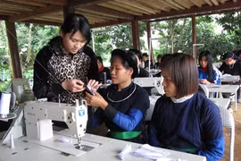Bộ Tài chính ban hành Thông tư quy định hỗ trợ chuyển đổi nghề đối với đồng bào dân tộc thiểu số