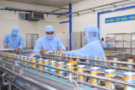 Cơ bản hoàn thành chuyển đổi sở hữu khối doanh nghiệp nhà nước vào 2025