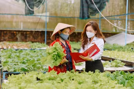 Tỏa sáng những đóa hồng Agribank
