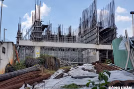 Dự án C-River View của Cường 'đô la' xây không phép lúc chưa được giao đất?