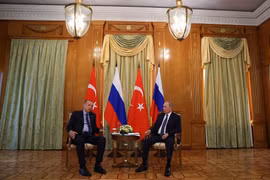 Tổng thống Nga Putin và Tổng thống Thổ Nhĩ Kỳ Erdogan hội đàm về khí đốt, ngũ cốc