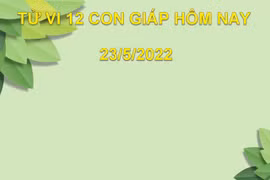 Tử vi 23/5/2022 hôm nay thứ 2 ngày 23/4 âm lịch của 12 con giáp