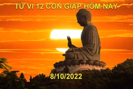 Tử vi hôm nay 8/10/2022, thứ 7 ngày 13/9 âm lịch của 12 con giáp