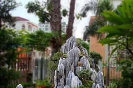 3 vật phẩm nên đặt trước cửa nhà giúp thu hút tài lộc