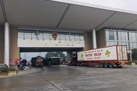 Sau ách tắc tại cửa khâu Kim Thành, lô hàng đầu tiên gần 400 tấn hoa quả đã được xuất sang Trung Quốc