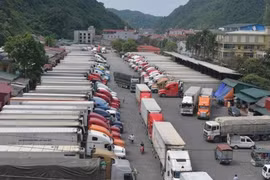 Nghỉ tết Nhâm Dần Trung Quốc dừng thông quan hàng hoá 7 ngày
