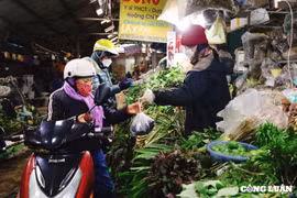 Bồ kết “cháy hàng”, giá tăng theo đà tăng số ca F0