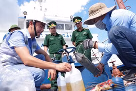 Hải quan tăng cường kiểm soát, đấu tranh chống buôn lậu xăng dầu, than