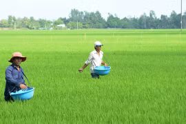 Xung đột Nga - Ukraine chưa hạ nhiệt, nhiều doanh nghiệp "than trời" vì vật giá leo thang