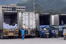 Hải quan Quảng Ninh: Kiểm soát tốt hoạt động buôn lậu qua biên giới