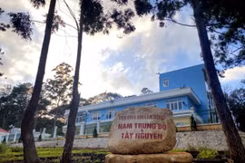 Hơn 2.000 ha rừng biến mất trong dự án…bảo vệ rừng