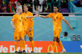 Nhận định Hà Lan vs Ecuador, 23h ngày 25/11 tại bảng A World Cup 2022