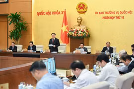 Ngày 28/11, Ủy ban Thường vụ Quốc hội xem xét phê chuẩn miễn nhiệm, bổ nhiệm nhân sự