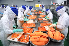 Đưa Việt Nam thành trung tâm chế biến nông sản top 10 thế giới vào năm 2030