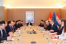 Việt Nam - Luxembourg: Thúc đẩy thiết lập khuôn khổ Đối tác chiến lược về tài chính xanh