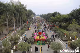Hà Nội: Hàng nghìn người dân đổ về Lễ hội hoa Mê Linh trong ngày đầu khai mạc