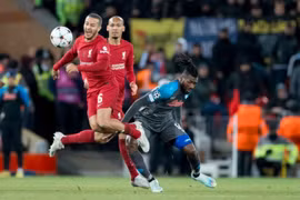 Nhận định trận Tottenham vs Liverpool, 23h30 ngày 6/11