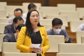 Đại biểu Quốc hội chỉ rõ chiêu trò “quân xanh, quân đỏ”, “thắng thầu bỏ cọc” trong đấu giá đất