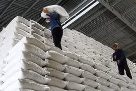 Chính phủ chỉ đạo xuất cấp hơn 484 tấn gạo cho tỉnh Hà Giang