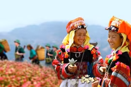 Rút ngắn khoảng cách phát triển giữa vùng đồng bào DTTS và miền núi với các vùng, miền khác