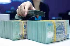 Đôi vợ chồng trẻ bị tố giác chiếm đoạt hơn 2 tỷ đồng