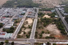 Những cán bộ huyện Đất Đỏ nào đã được nhận đất trong 196 lô giao sai?