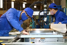 Chính sách với người lao động dôi dư khi sắp xếp lại công ty TNHH do Nhà nước nắm 100% vốn điều lệ