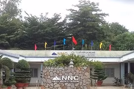 CTCP Đá Núi Nhỏ (mã NNC) doanh thu 9 tháng giảm 58%, cổ đông lớn vẫn mua thêm gần 650 nghìn cổ phiếu