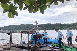 Quảng Ninh: Không còn điểm nóng về buôn lậu, gian lận thương mại và hàng giả