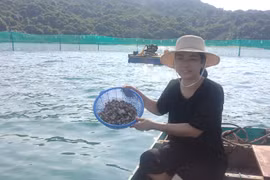 Phóng sự phát thanh cần sự chân thật, tự nhiên trong từng khoảnh khắc