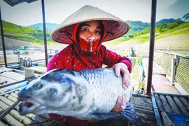 Cảm xúc lắng sâu với “Lời khẩn cầu từ dòng Đà Giang”