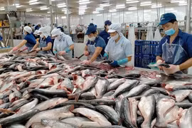 Gần 1,7 tỷ USD hải sản Việt xuất đi các nước