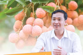 Xây dựng huyện Lục Ngạn trở thành vùng cây ăn quả trọng điểm cấp quốc gia