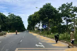 Hà Nội: Đường giao thông ngoại thành lại hóa “sân phơi”
