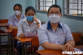 Thi tuyển lớp 10 tại TP. HCM: Điểm tuyệt đối xuất hiện nhiều ở môn Tiếng Anh, môn Toán ít điểm dưới trung bình