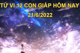 Tử vi 21/6/2022 hôm nay, thứ 3 ngày 23/5 âm lịch của 12 con giáp