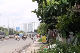 Không lo bị phạt, nhiều người vẫn chọn đi ngược chiều, sai làn để... nhanh hơn