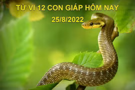Tử vi hôm nay 25/8/2022, thứ 5 ngày 28/7 âm lịch của 12 con giáp