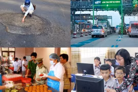 Nóng 18h:Thanh tra Bộ Y tế: Xử lý nghiêm hành vi gian dối trong sản xuất, kinh doanh thực phẩm Tết Trung thu