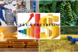 Sửa Luật Giá, khắc phục hạn chế sau hơn 9 năm thi hành