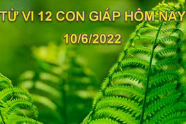Tử vi 10/6/2022 hôm nay, thứ 6 ngày 12/5 âm lịch của 12 con giáp