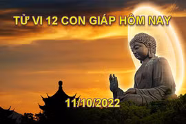 Tử vi hôm nay 11/10/2022, thứ 3 ngày 16/9 âm lịch của 12 con giáp