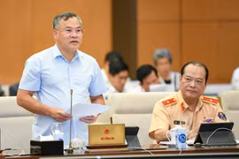 Đảm bảo công khai, minh bạch, bình đẳng trong việc lựa chọn biển số ô tô để tham gia đấu giá