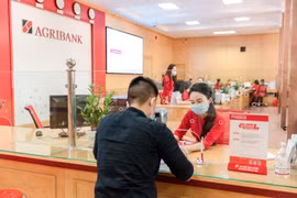 Agribank: Quyết liệt chung tay thực hiện thành công “mục tiêu kép”  