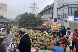 Nông sản chờ giải cứu nằm la liệt trên vỉa hè Hà Nội: “Của đau con xót”