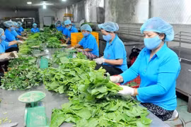Doanh nghiệp, hợp tác xã, hộ kinh doanh được hỗ trợ lãi suất 2%/năm